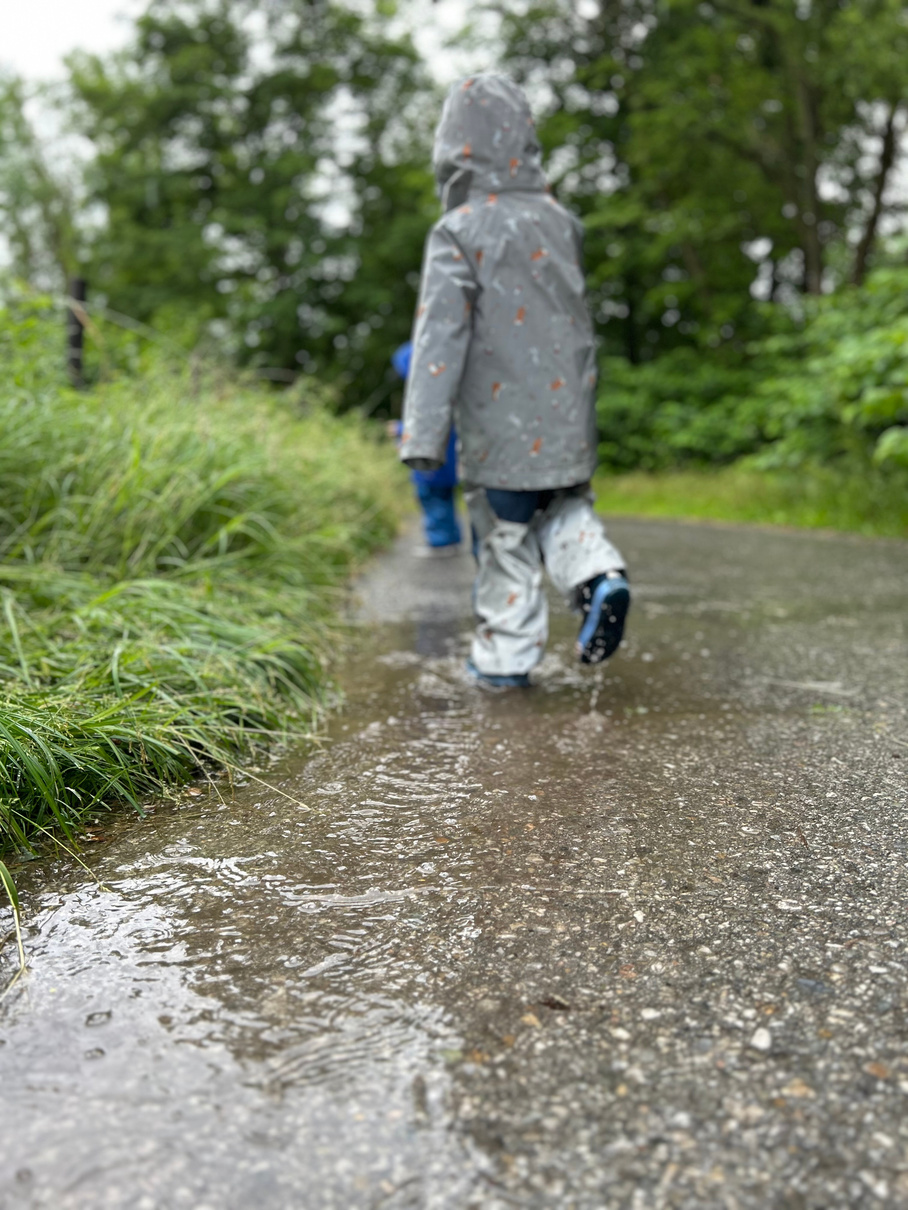 Galerie Bild 7